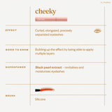 Тушь для ресниц Paese The Lift Up Mascara Cheeky