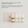 Serumu mini iepakojumu komplekts Beauty Of Joseon Hanbang Serum Discovery Kit