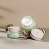 MIZON Phyto Plump Collagen Day Cream