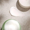 MIZON Phyto Plump Collagen Day Cream